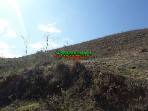 Imagem 7 de 15 de Chácara Em São Francisco Xavier - 554