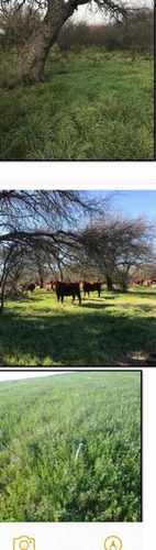 Imagen 2 de 3 de Vendo Estancia Con 6.350 Hectáreas.