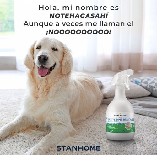 Stanhome 3 Try It Urine Remover Eliminador Olores D Mascotas