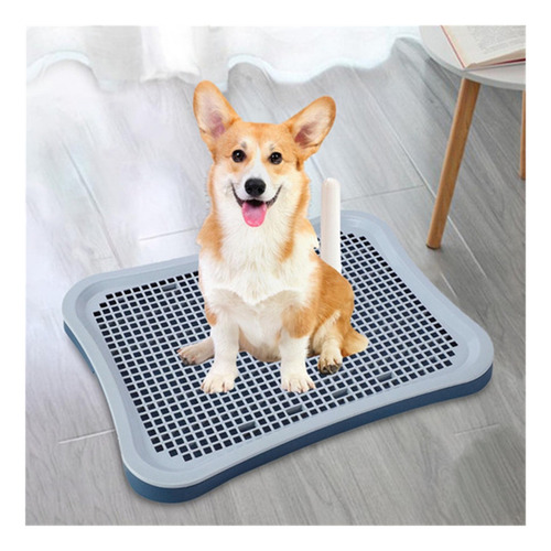 Inodoro Para Mascotas, Bandeja Antideslizante Para Orinal De