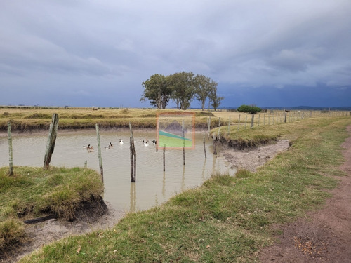 Imagen 3 de 30 de 532 Hectáreas Agrícolas Ganaderas Rocha