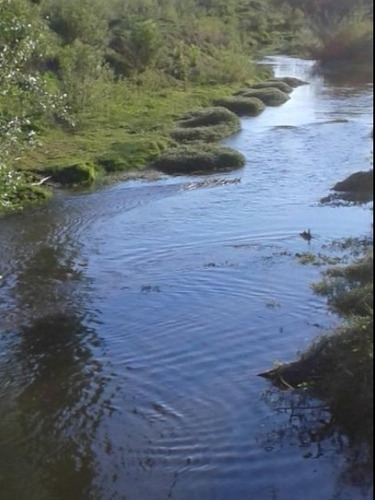 Imagen 6 de 8 de Campo De 431 Ha En Concaran.a 1.500 Metros Del Pueblo.