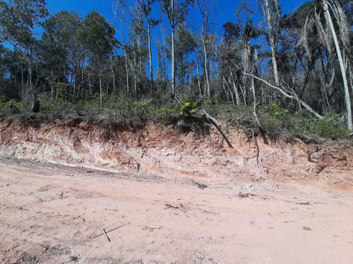 Imagem 9 de 14 de Não Perca Essa!
