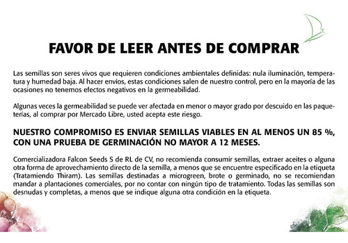Semilla Germinado Kale Rojo Falcon Seeds