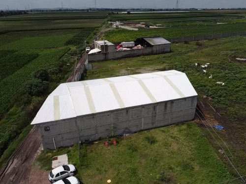 Bodega Industrial En Venta En San Javier, Irapuato, Guanajuato
