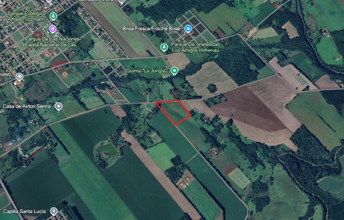 5.5 Hectareas A 5 Minutos De Hohenau Centro