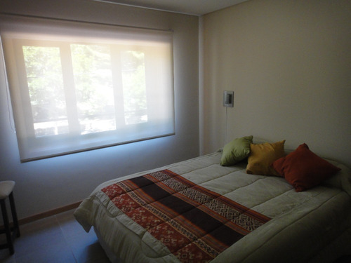 Alquiler Departamento San Martin De Los Andes Centro