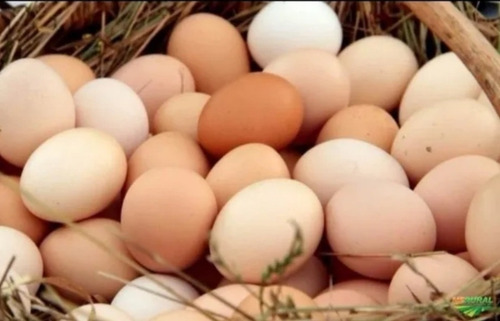 Imagem 2 de 2 de Venda De Ovos