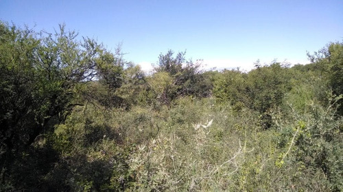 Imagen 14 de 19 de Terreno En Venta En San Marcos Sierras