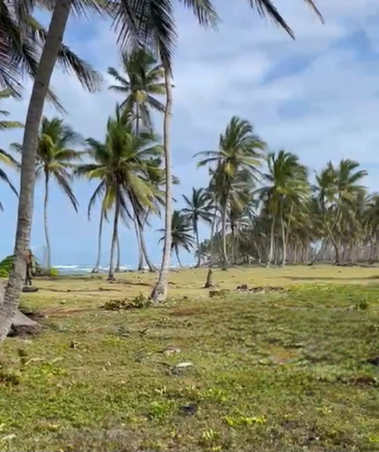 Terreno Con Frente De Playa En Higüey, Lava Cama, Entre Nisi