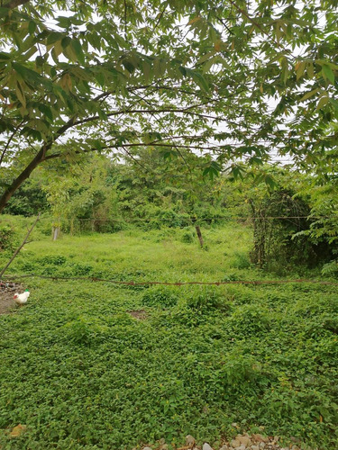 Venta De Terreno Excelente Ubicacion En San Bartolo Tuxtepec Oaxaca