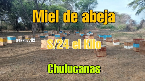 Miel De Abeja De Chulucanas - Piura