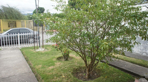 Imagen 29 de 30 de Casas En Venta Cabudare 04245565759