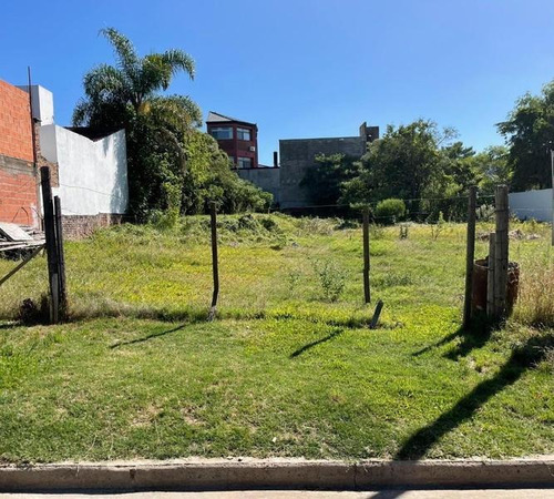 Imagen 2 de 6 de Terreno De 519 M2 Zona Céntrica Colón