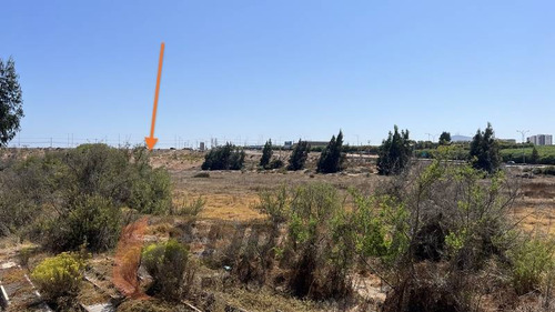 Excelente Terreno 12 Ha La Cantera Con Pan De Azucar