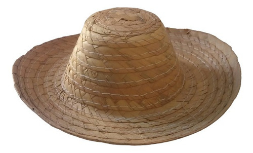 25 Sombrero Tlapehuala Guerrero De Palma Miniatura 15 Cm 