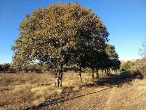 Imagen 30 de 30 de Terrenos En Las Sierras De Cordoba