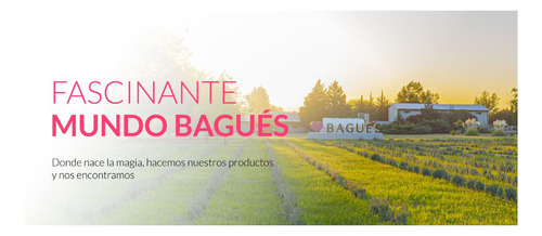 Aromatizante Ambiental Bagués 4 Estaciones Invierno 125ml