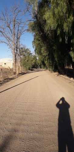 Imagen 2 de 7 de Vendo Lote Cuadro Benegas San Rafael Mendoza
