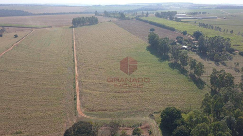 Imagem 8 de 10 de Sítio À Venda, 145200 M² Por R$ 3.500.000,00 - Mandaguaçu - Mandaguaçu/pr - Si0005