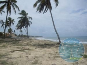 Imagem 5 de 12 de (2437) Terreno Na Praia De Muriu - V-2437