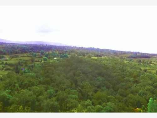 Imagen 6 de 12 de Terreno En Venta San Pablo Ojo De Agua