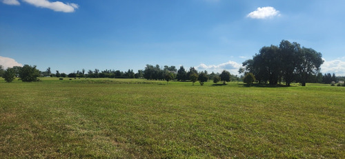Lote Al Golf Con Vistas A Laguna En Everlinks (escriturado)