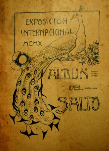  Album Departamento Salto 1910 Estancias Hacendados 