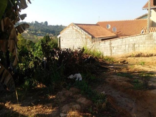 Imagem 2 de 5 de Terreno - Te00141 - 69381158