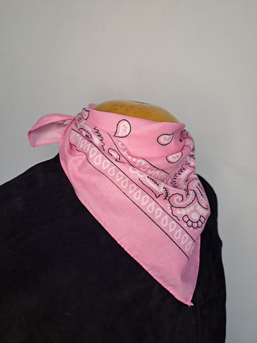 Pañoleta Bandana Rosado Pañuelo Bacterias Outfit Barbie