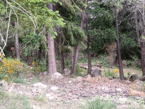 Terreno En Venta En Villa Traful Con Arboles Añejos