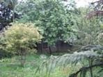 Imagem 16 de 16 de Casa À Venda, 2 Quartos, 1 Vaga, Nova Petrópolis - São Bernardo Do Campo/sp - 62818