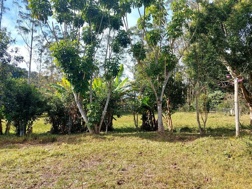 Imagem 20 de 20 de Chácara Em São Lourenço Com Lago Riacho 20.000 M² Ótimo Acesso