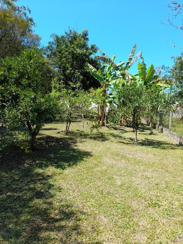 Imagem 4 de 30 de Chacara - 414 - 69533538