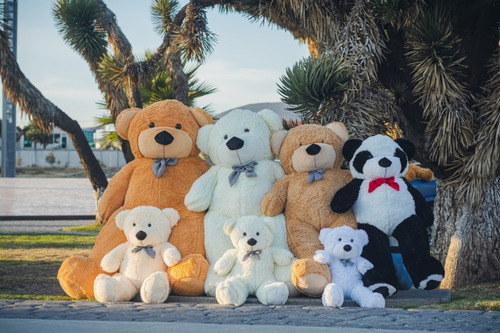 Oso Panda De Peluche Gigante Jumbo 1,40 Cmts + Regalo