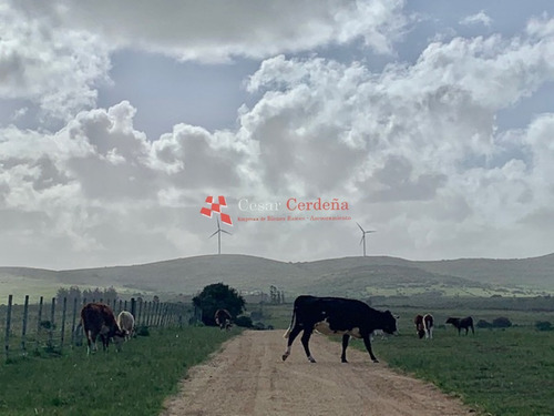 Venta - 5 Has En Sierra De Los Caracoles- Ref: 1568
