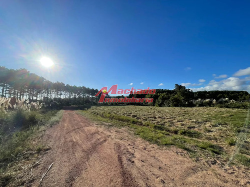 Terreno En Maldonado, Altos De La Laguna