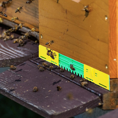 Protectores Deslizantes Para Ratón Beehive Equipo De Artilug