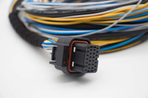 Injepro Módulo De Injeção Programável S3000v2 Semisequencial