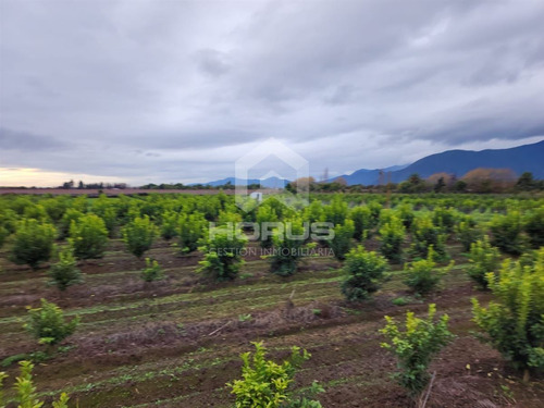 Venta De Parcela En Peumo