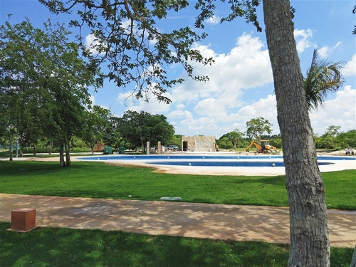 Imagen 3 de 5 de Venta De Lote 15 En Oasis-country Club