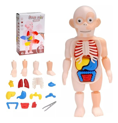 Juego Didáctico Infantil Anatomía Del Cuerpo Humano 