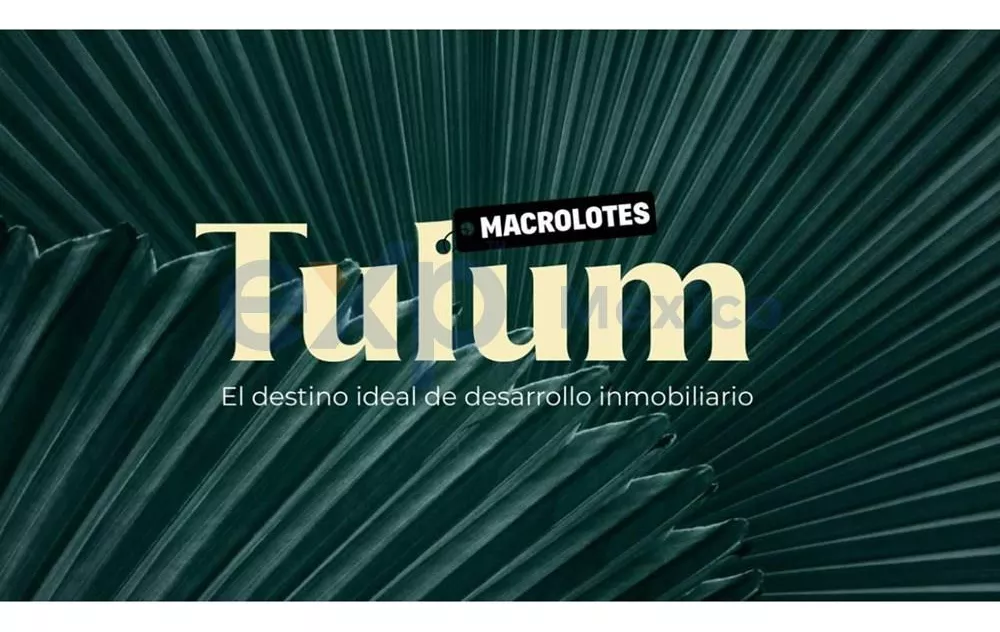 Terrenos Macrolote En Venta En Tulum, Quintana Roo - Zona Holistika - Para Desarrolladores.