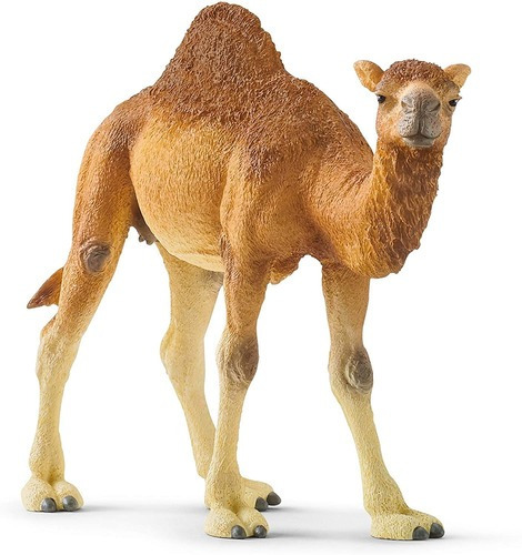 Miniatura realista Schleich Wild Life 14832 - Dromedario