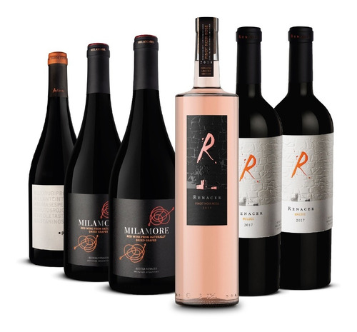 Imagen 1 de 4 de Vino Renacer Mix Alta Gama 6 Botellas