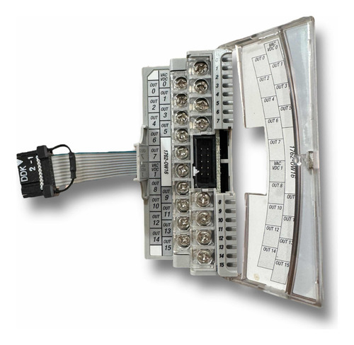 Allen Bradley 1762-ow16 Módulo De Salidas Micrologix 18 (Usado)