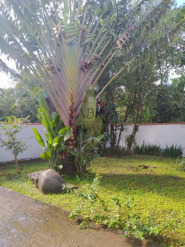 Imagem 5 de 14 de Chácara Em Bertioga, No Bairro Sítio São João. - V710