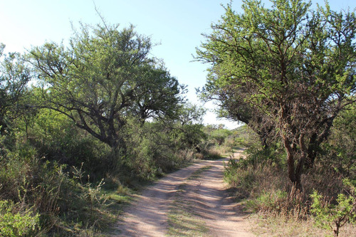 Imagen 11 de 14 de Venta De Lotes En San Miguel Cortaderas Barrio La Martita