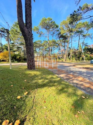 Imagen 29 de 30 de Excelente Casa En Zona Residencial En Mansa
