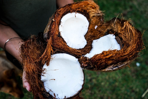 Aceite Coco Orgánico 1lt Prensado Al Frio